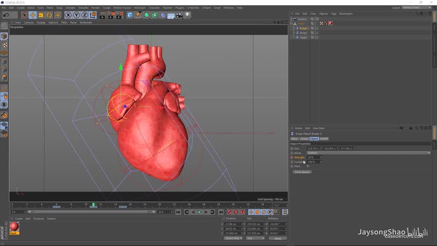 c4d模擬製作人體主要器官心臟建模案例-3d視頻教程_免費下載 - 愛給網